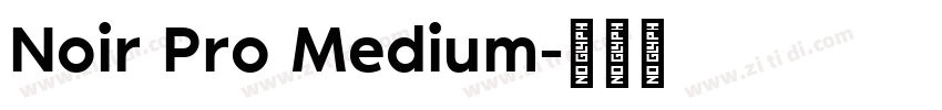 Noir Pro Medium字体转换